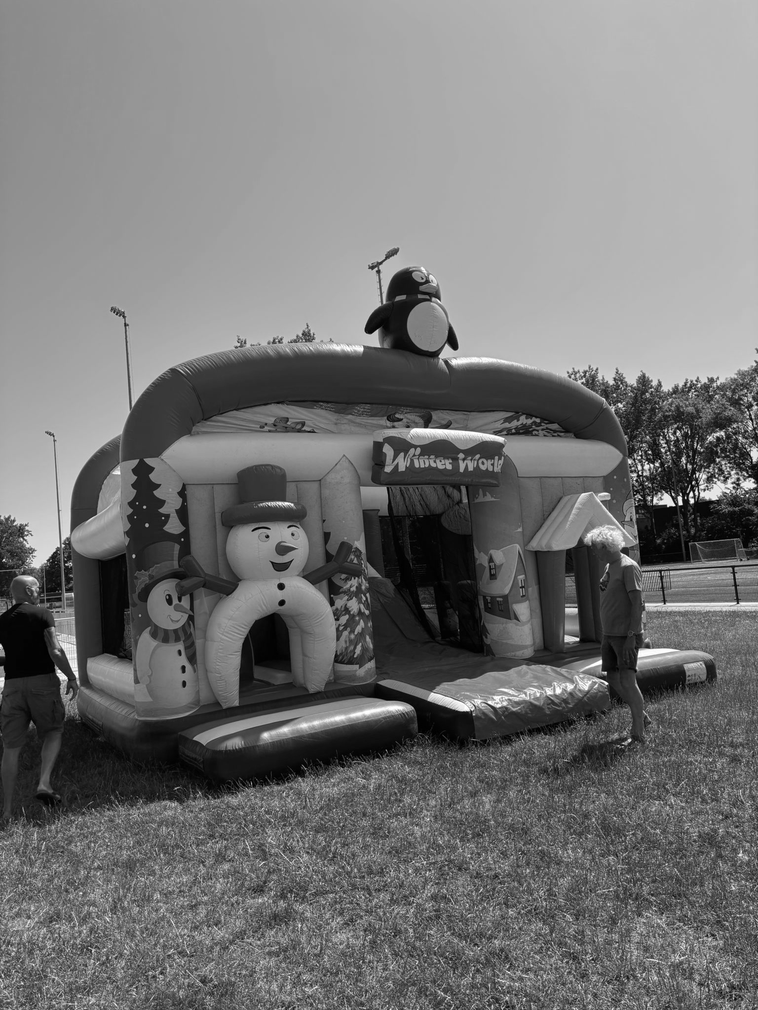 Afbeelding van WhatsApp op 2025-06-24 om 12.20.26_73350ddf