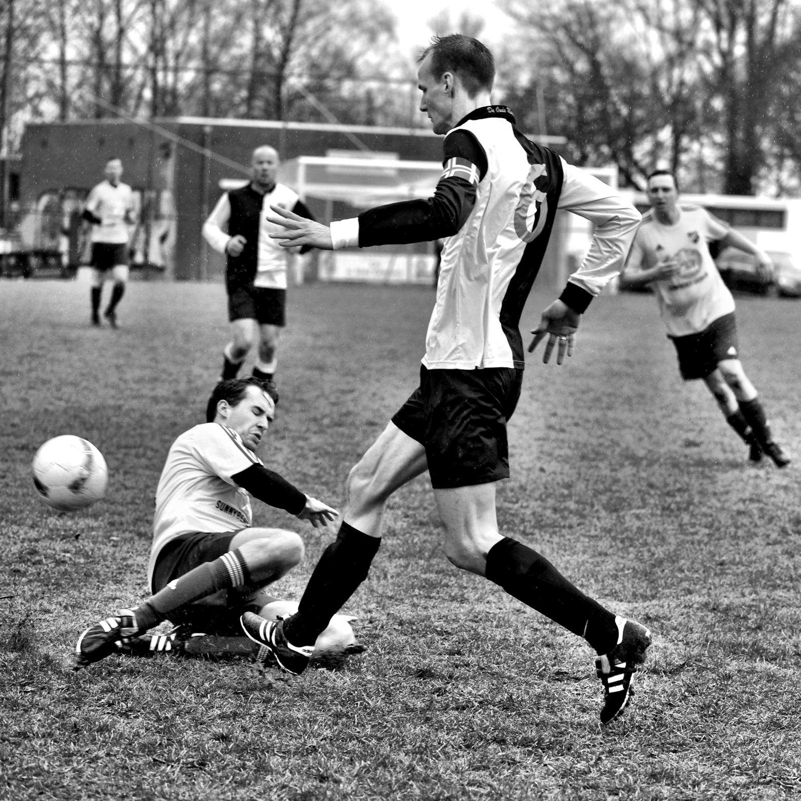 PHOTO-2019-03-03-17-33-54[1]