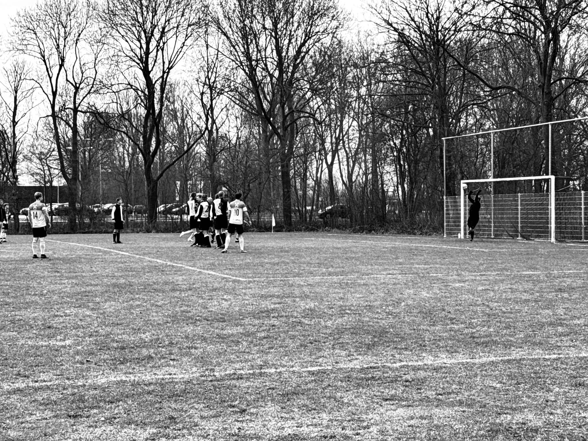 PHOTO-2025-03-23-10-27-44 (1)